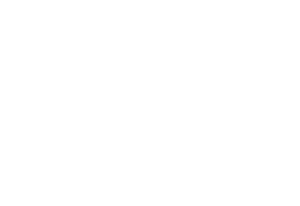 COLOR.KEMPTONofRockHill White COLOR.KEMPTONofRockHill White
